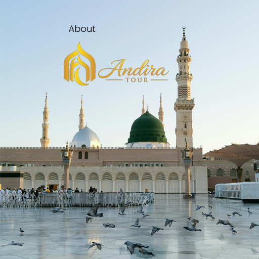 Tentang Andira Tour
